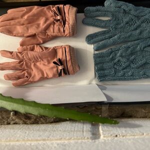 Pink and Blue Gloves Set